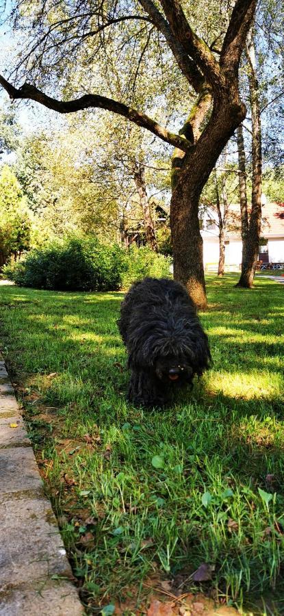 Karancsvölgyi Pihenőház Karancsbereny Kültér fotó